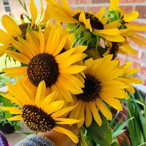 Meet your Posher, Edna